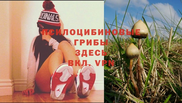 дмт Покров
