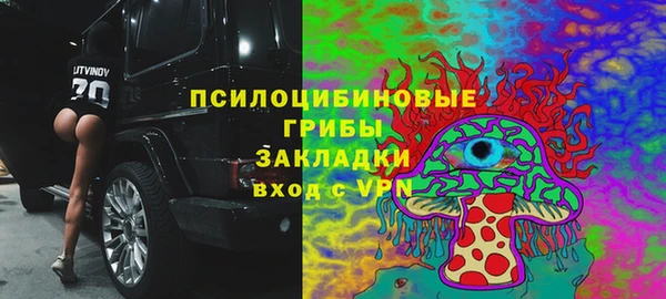 ПСИЛОЦИБИНОВЫЕ ГРИБЫ Абдулино