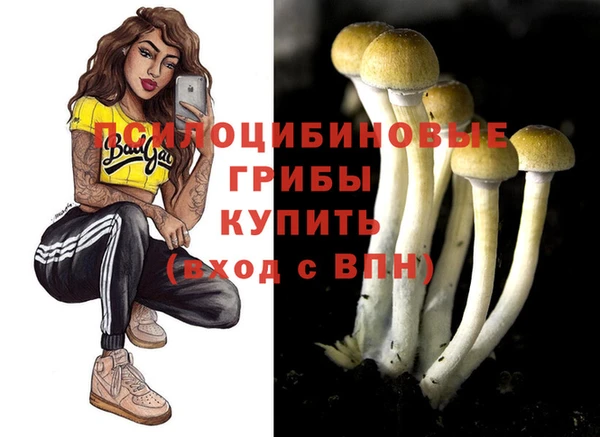 ПСИЛОЦИБИНОВЫЕ ГРИБЫ Абдулино