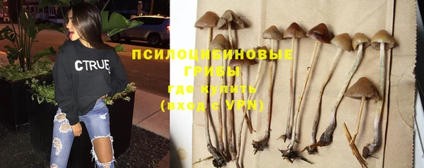 ECSTASY Абинск